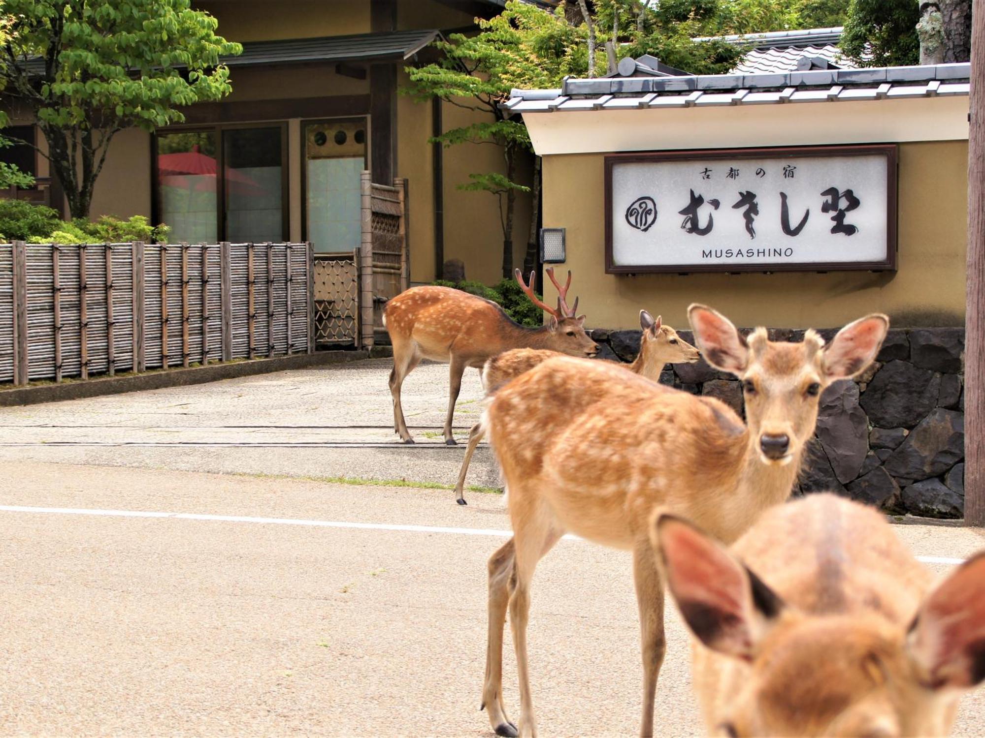 Kotonoyado Musashino Nara Exteriör bild